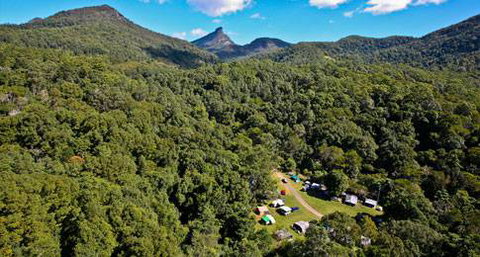 Mt Warning Rainforest Park - Sydney Tourism 18