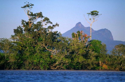 Mt Warning Rainforest Park - Sydney Tourism 20