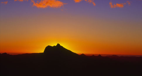 Mt Warning Rainforest Park - Sydney Tourism 14