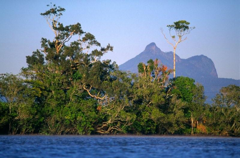 Mt Warning Rainforest Park - Sydney Tourism 15