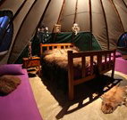 Aranyani Bison Adventure Tourist Park - Sydney Tourism