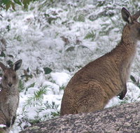 Barokee campground - Sydney Tourism