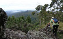 Callicoma Hill Eco-Cabins - Sydney Tourism 1