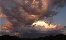 Callicoma Hill Eco-Cabins - Sydney Tourism 2