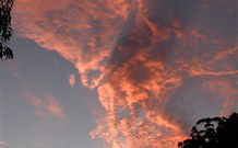 Callicoma Hill Eco-Cabins - Sydney Tourism 3