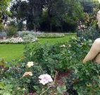 Corynnia Station - Sydney Tourism