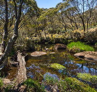 Junction Pools campground - Sydney Tourism