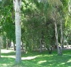 Lismore Palms Caravan Park - Sydney Tourism