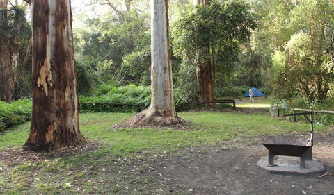 Mill Creek Campground - Sydney Tourism 2