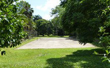 Mt Warning Rainforest Park - Sydney Tourism 3