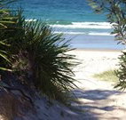 Myola Tourist Resort Caravan Park - Sydney Tourism