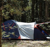 Thungutti campground - Sydney Tourism
