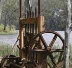 Yalwal Camp Ground - Sydney Tourism