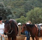 Chesleigh Homestead - Sydney Tourism