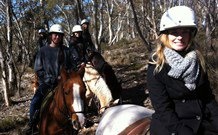 JE Resort (Jindabyne Equestrian Resort) - Sydney Tourism 1