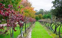 Peppers Convent Hunter Valley - Sydney Tourism 4