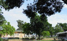 Dubbo City Holiday Park - Dubbo - Sydney Tourism 3