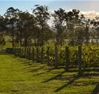 H Boutique Hotel - Pokolbin - Sydney Tourism