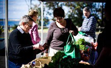 Shoalhaven Heads Hotel Motel - Sydney Tourism 3