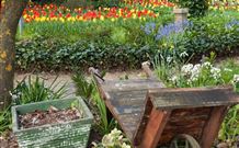 Anembo NSW Sydney Tourism