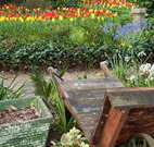 The Carrington Inn - Sydney Tourism