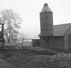 Ashmar Farm Stay - Sydney Tourism