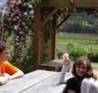 Back Forest Retreat - Sydney Tourism