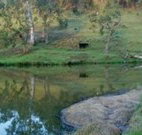 Barkeldine Farm Country Retreat - Sydney Tourism