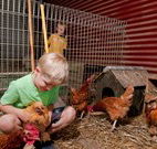 Bilpin Springs Lodge - Sydney Tourism