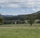 Ingleden Park Bed And Breakfast Farmstay Cottages - Sydney Tourism