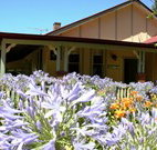Red Hill Organics Farmstay - Sydney Tourism