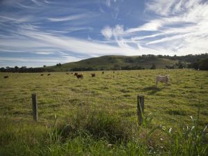 Goolmangar NSW Sydney Tourism