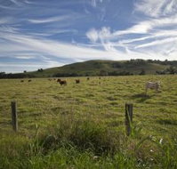 Annas Retreat - Sydney Tourism