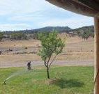 Wombat Hill Bed and Breakfast - Sydney Tourism