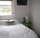 Elm  Wren - Sydney Tourism