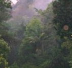 Havans Ecotourist Retreat - - Sydney Tourism