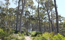 Lilli Pilli Beach Bed And Breakfast - Sydney Tourism 5