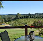 The Shed B and B - Sydney Tourism
