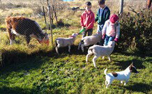 Delightful Home - Sydney Tourism 1