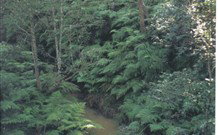 Eco Huts - Jervis Bay Getaways - Sydney Tourism 1