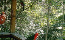 Eco Huts - Jervis Bay Getaways - Sydney Tourism 2