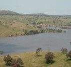 In The Heart Of Husky - Sydney Tourism