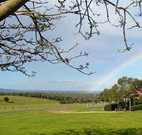 Pebble Bay Cottage - Sydney Tourism