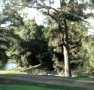 Rustic Caravan Park - Sydney Tourism