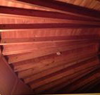 Sea Cottage - Sydney Tourism