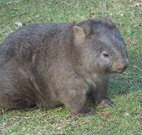 Seakissed Beachhouse - Sydney Tourism