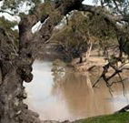 Valley View Cottage Hunter Valley - Sydney Tourism