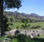 Woolshed Hill Estate - Sydney Tourism