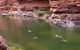Kalbarri YHA - thumb 2