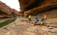 Kalbarri YHA - thumb 3